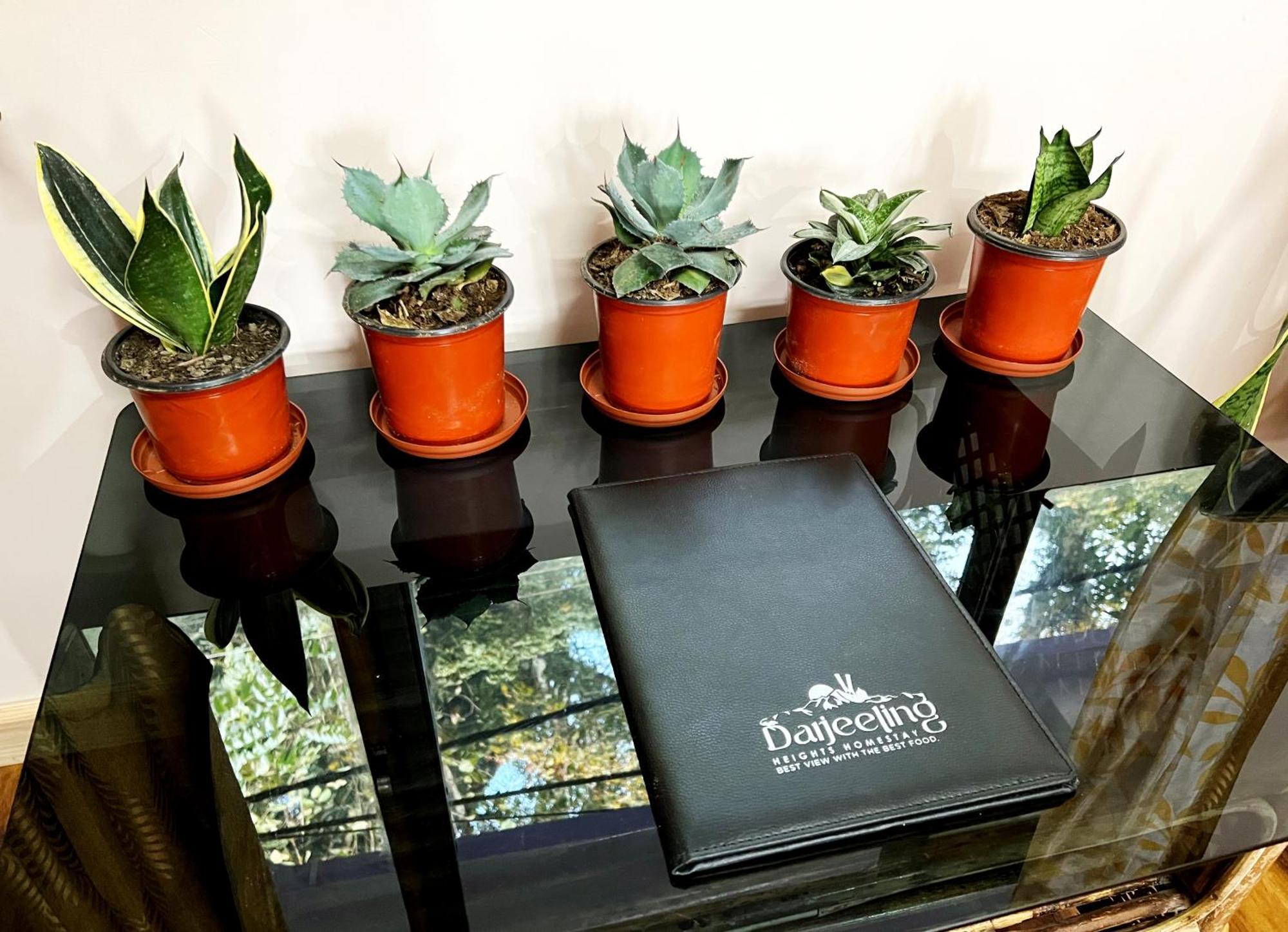 Darjeeling Heights - A Boutique Mountain View Homestay Zimmer foto